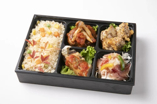 煮込みハンバーグの彩り洋食御膳